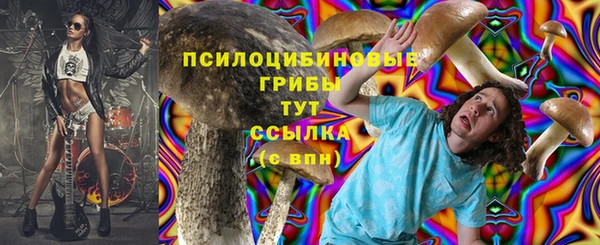 Альфа ПВП Приозерск