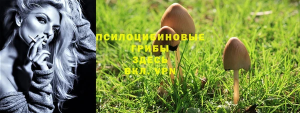 соль ск Протвино